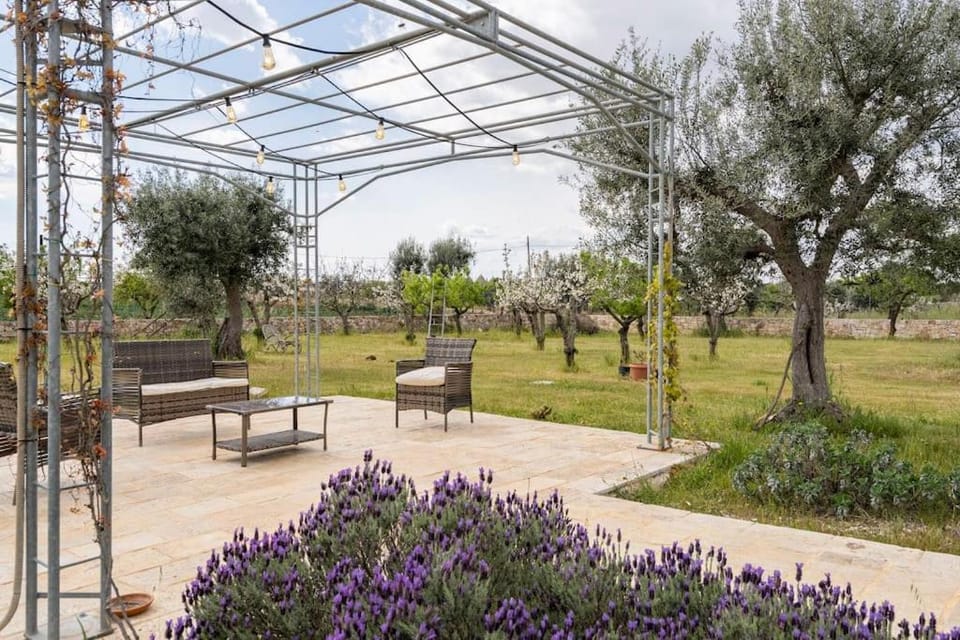 Patio, Spring, Natural landscape