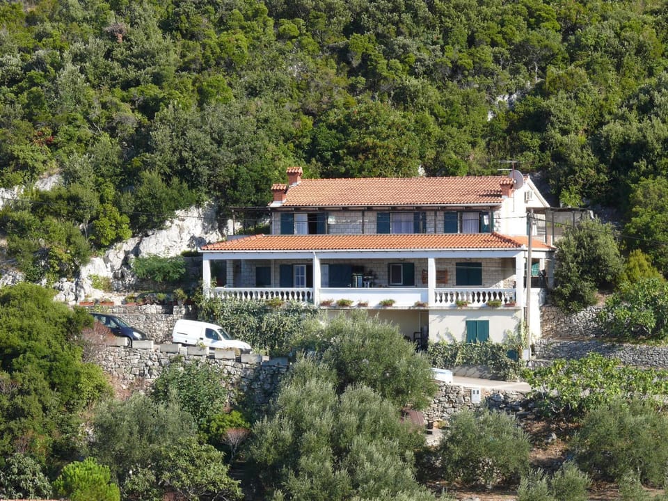 Property building, Day