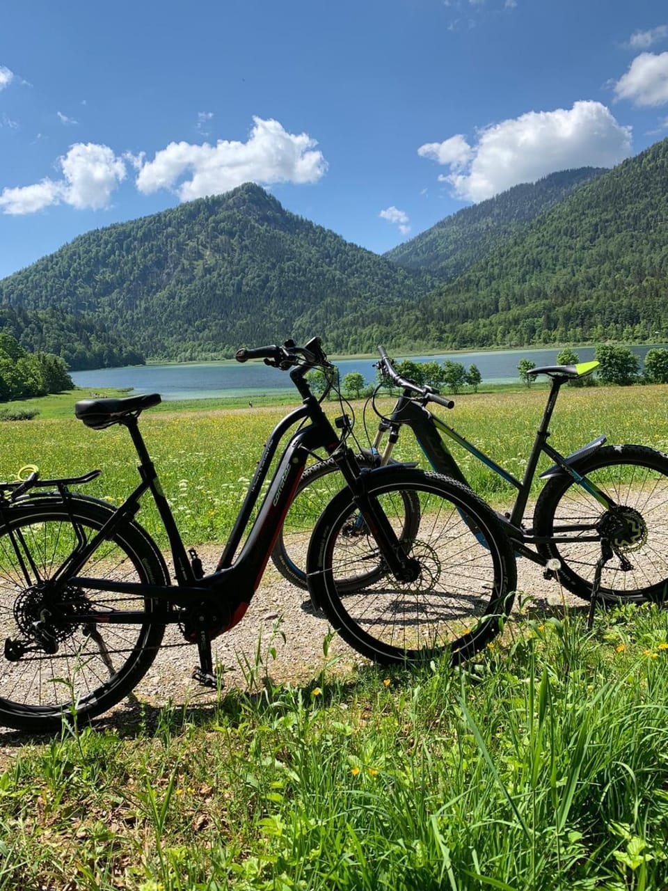 REIT IM WINKL - ValleyViewInn Apartment in Salzburgerland