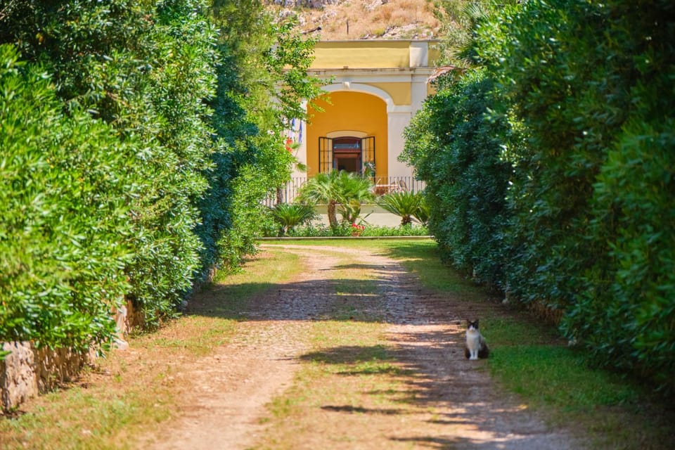 Facade/entrance, Day, Natural landscape, Garden