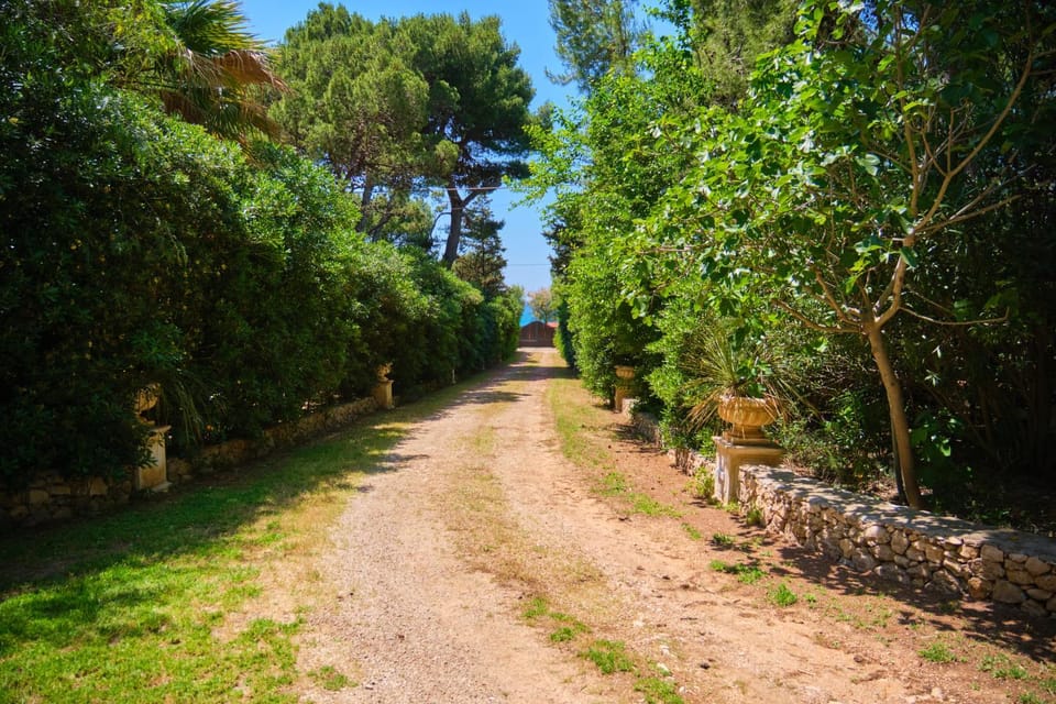 Facade/entrance, Day, Natural landscape, Garden view