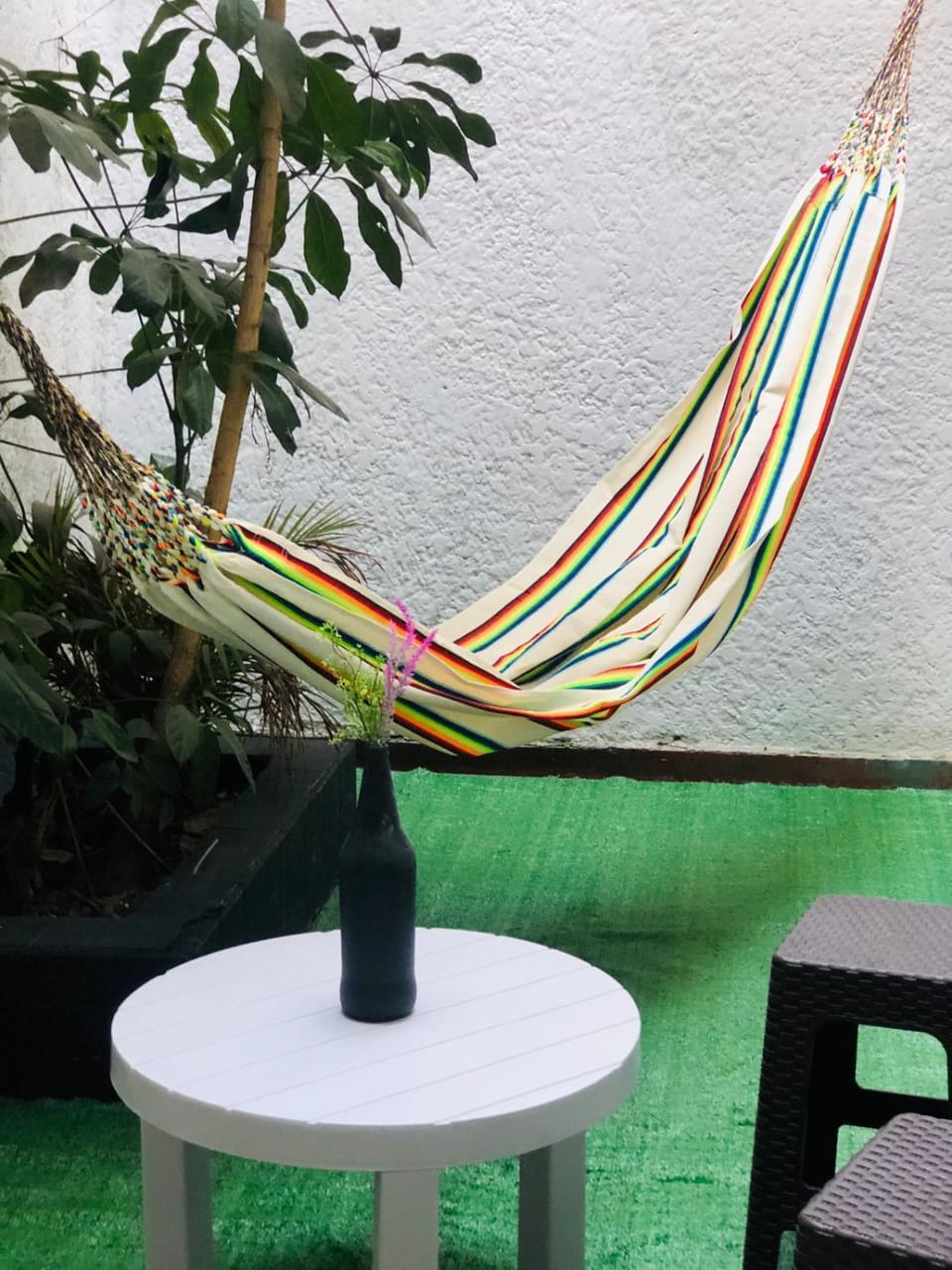 Garden, Balcony/Terrace