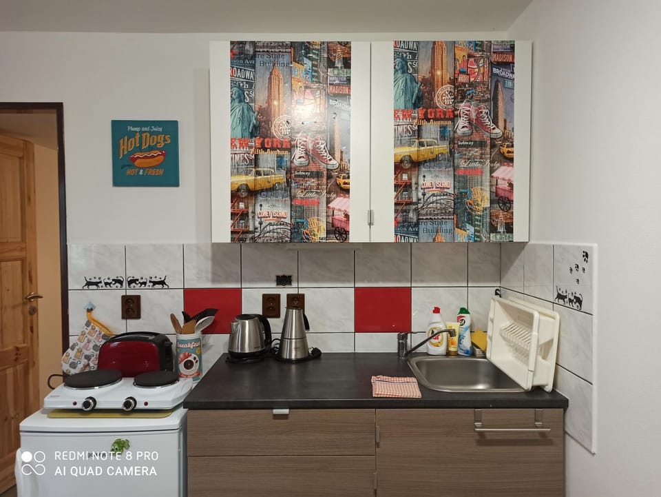 Apartmán u Kočky Apartment in South Moravian Region