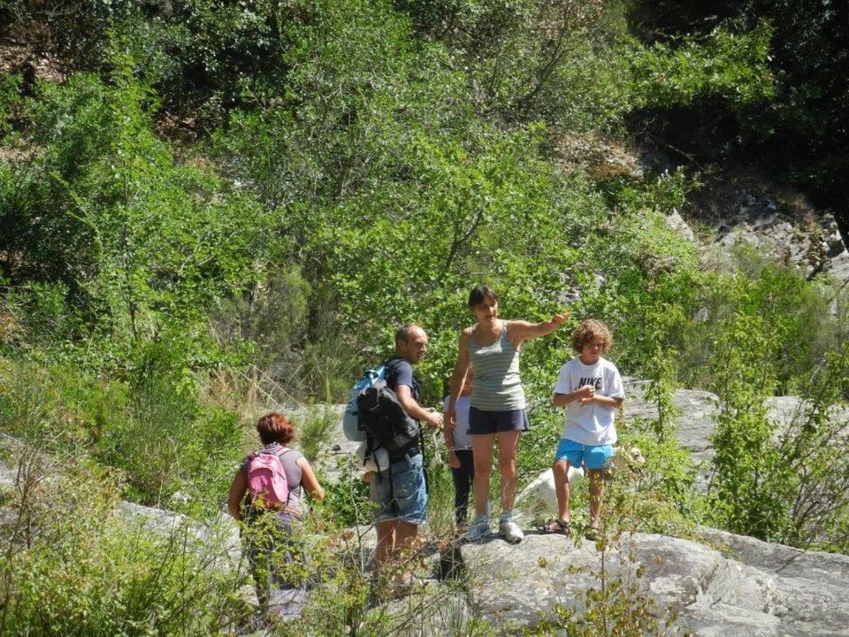 Hiking