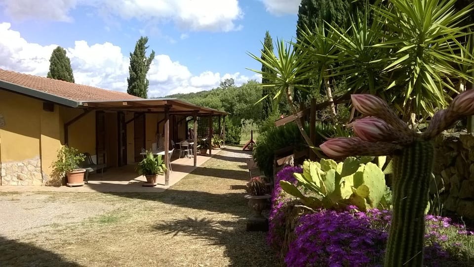 Property building, Patio