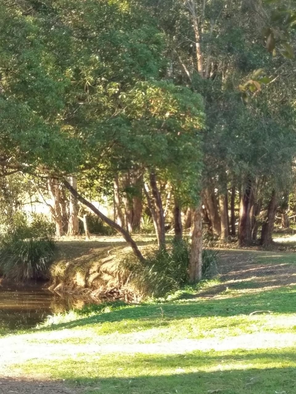 River view