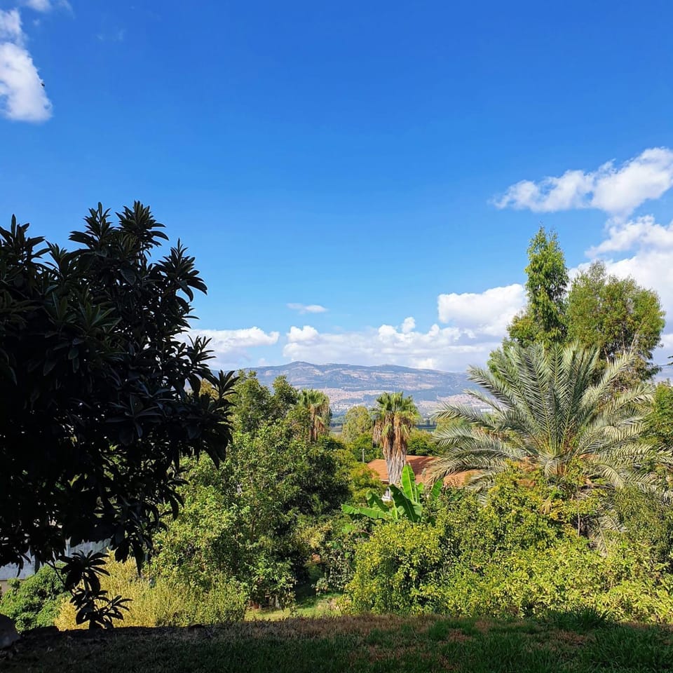 Natural landscape, River view