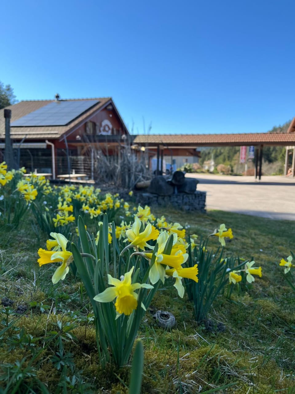 Auberge du Saut des Cuves Hotel in Xonrupt-Longemer