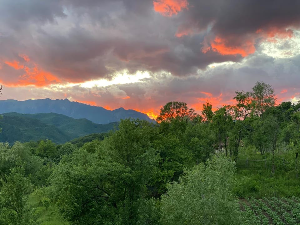 View (from property/room)