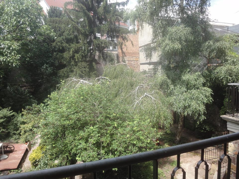 Le jardin des remparts Apartment in Colmar