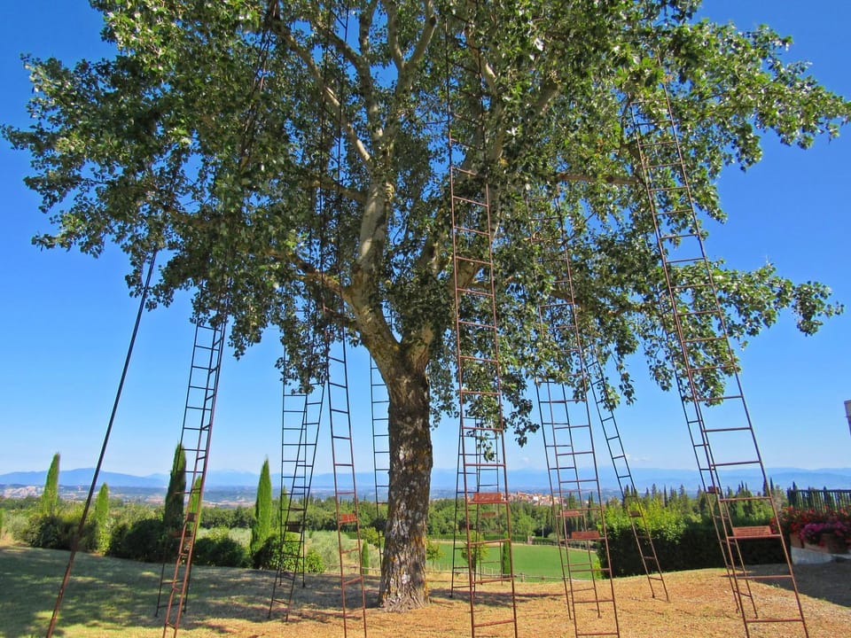 Garden, Garden view
