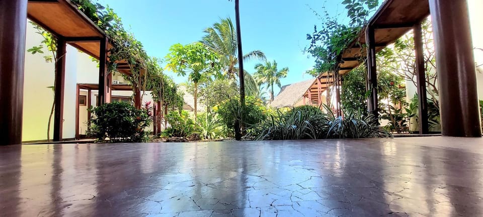 Natural landscape, Garden