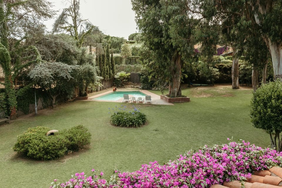 Garden view