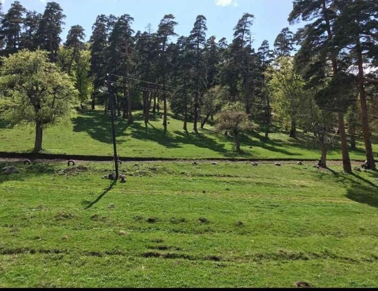 Natural landscape