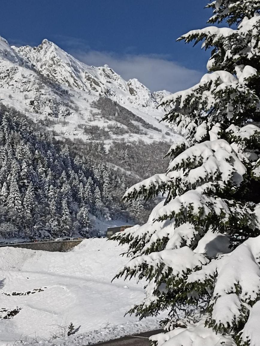 La Sapinière St Lary Soulan Hotel in Saint-Lary-Soulan