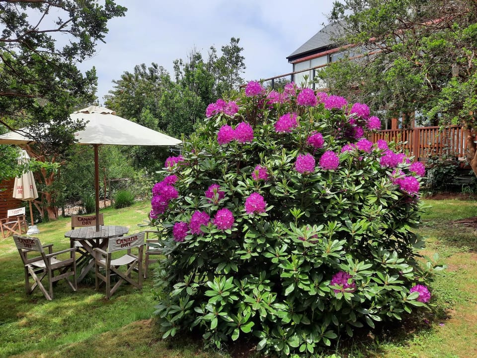 Spring, Garden