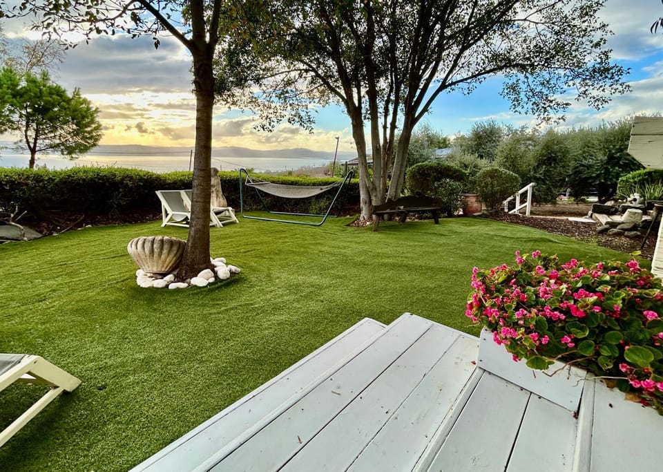 Garden view