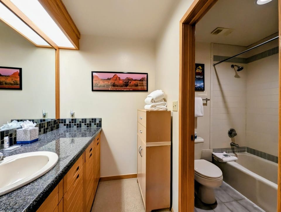 Shower, Toilet, Bed, Bathroom, Bath, towels, wardrobe