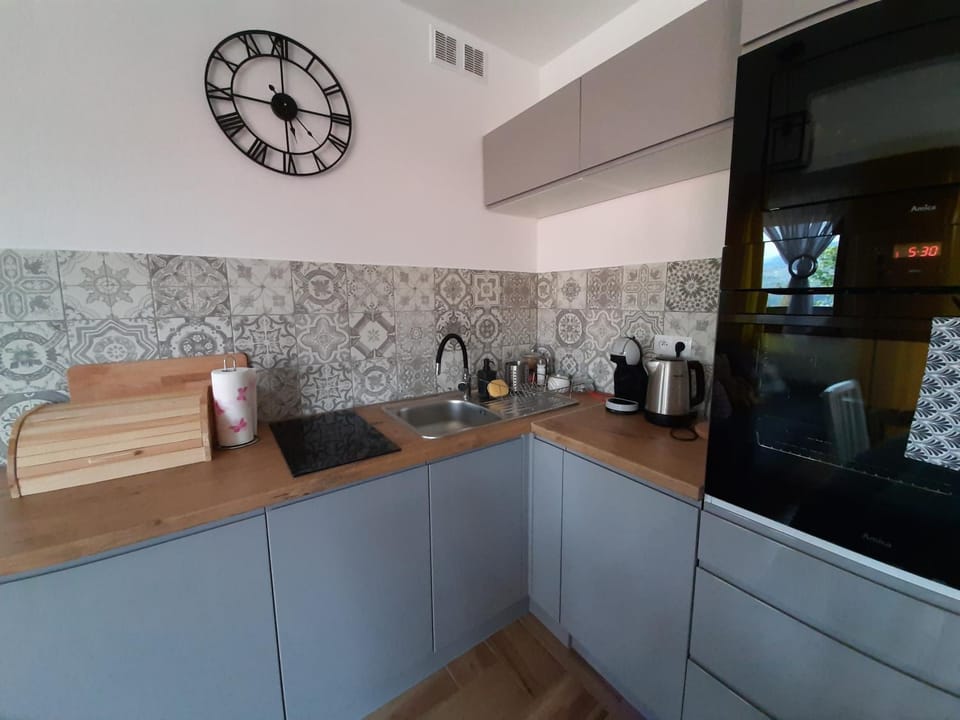 Apartament Gaia Apartment in Lesser Poland Voivodeship