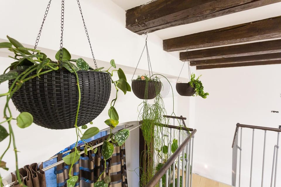 Sweet getaway apartment - central & parking Apartment in Ljubljana