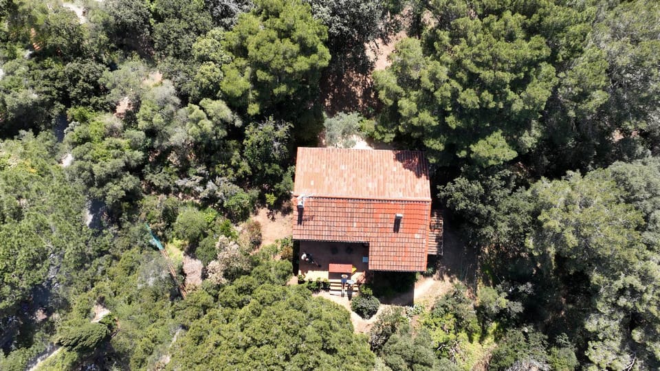 Property building, Bird's eye view