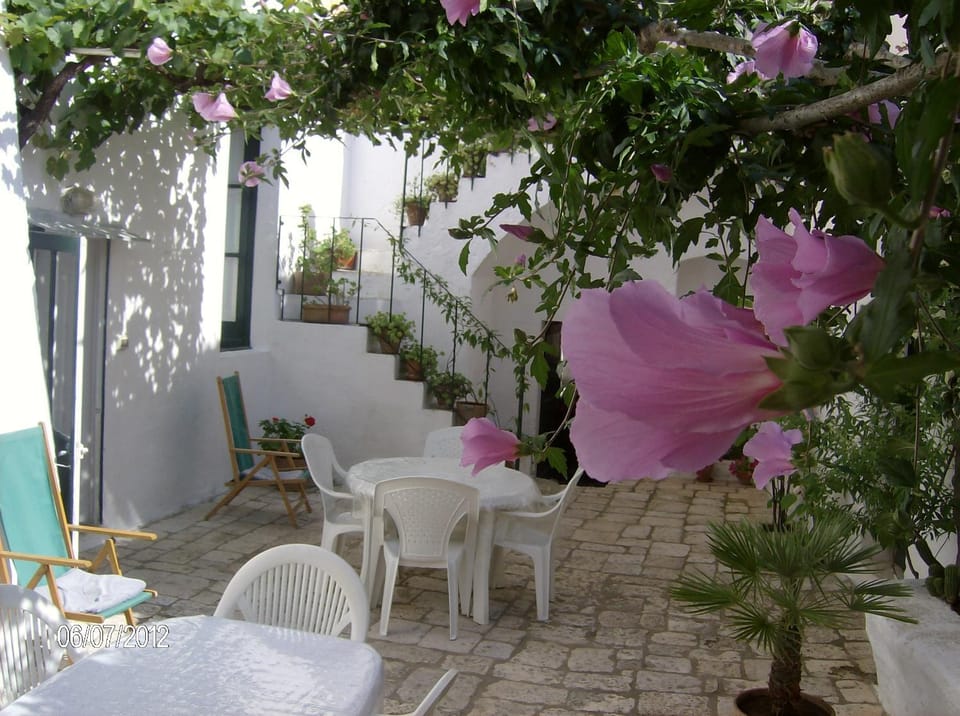 Garden, Balcony/Terrace