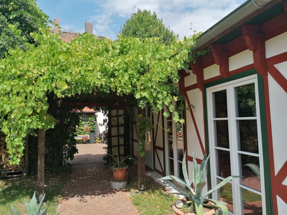Garden view