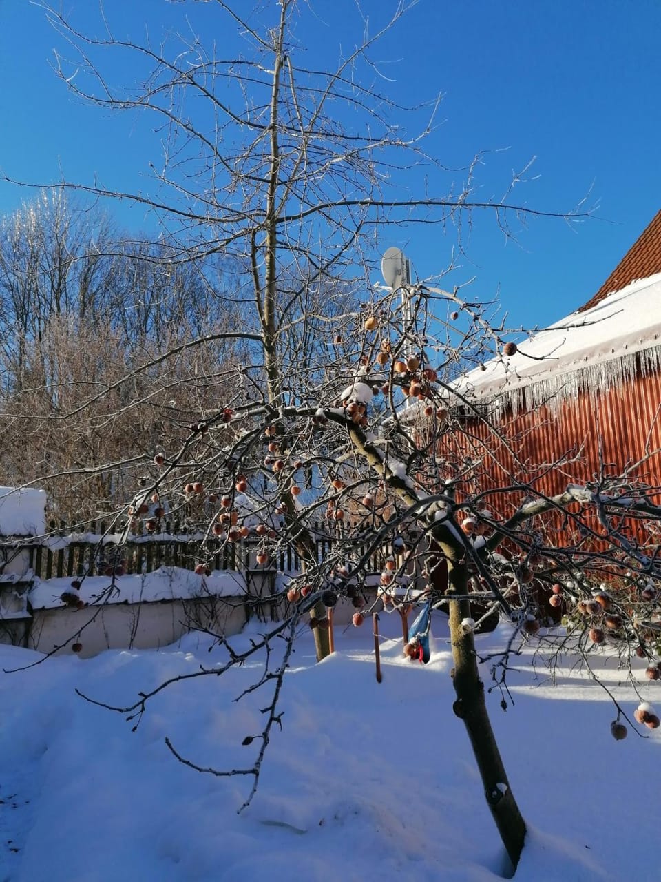 Winter