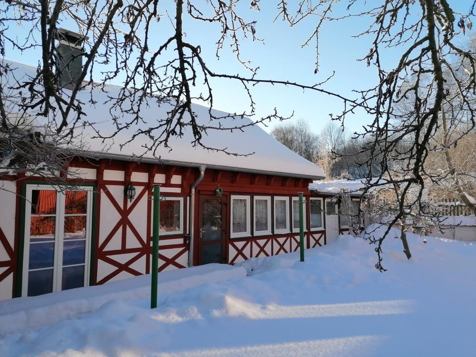 Winter