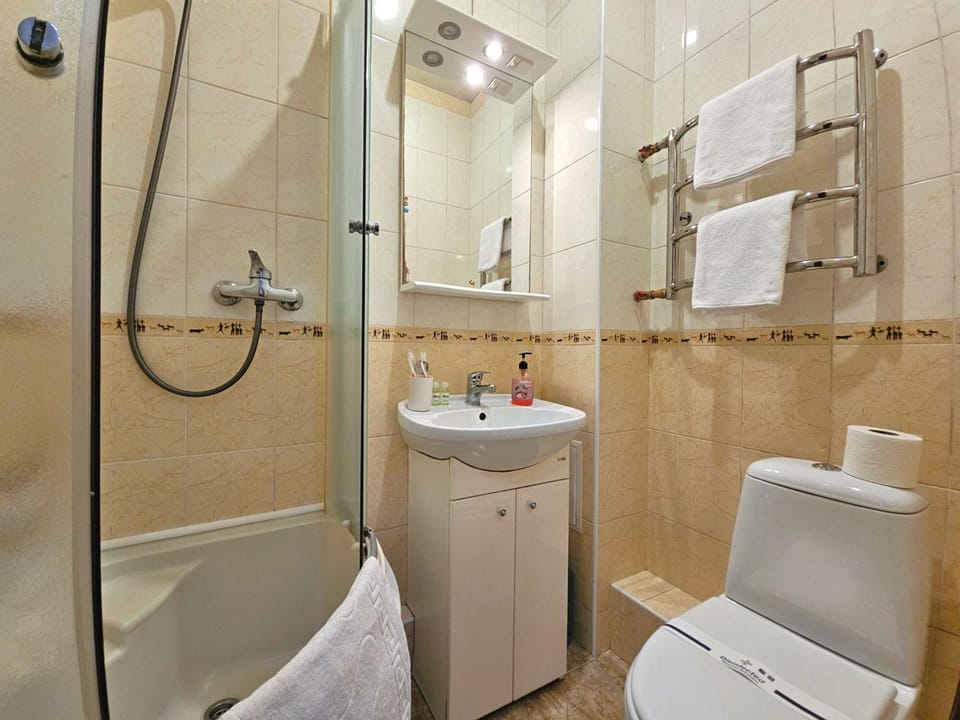 Shower, Toilet, Bathroom, Bath, towels