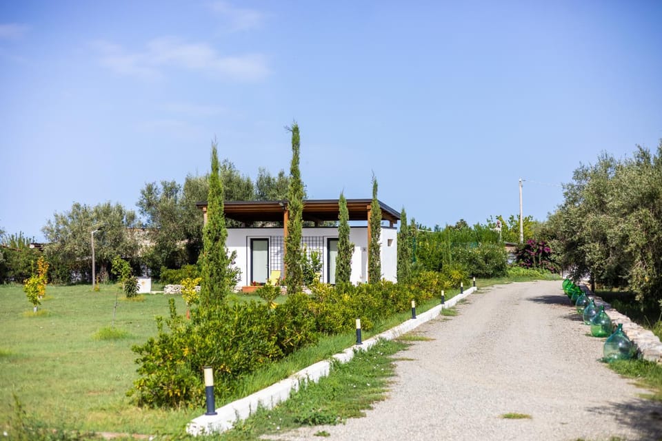 Garden, Garden view, Garden view