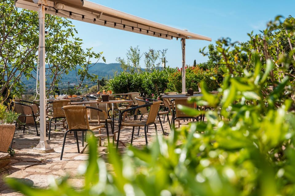Hôtel Paradis Hotel in Bormes-les-Mimosas