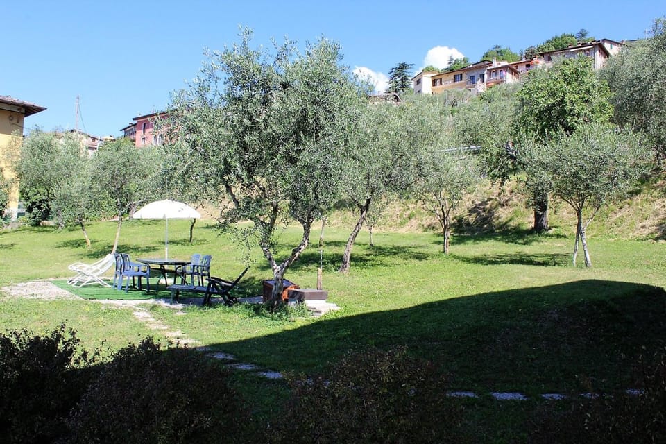 Patio, Garden, Garden view