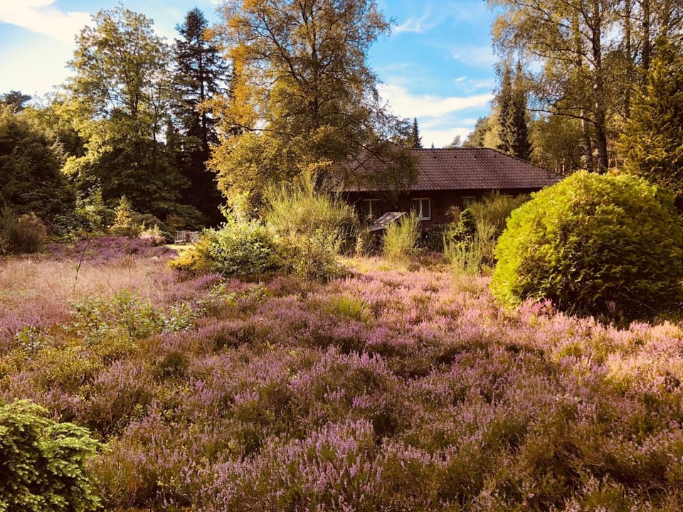 Property building, Garden