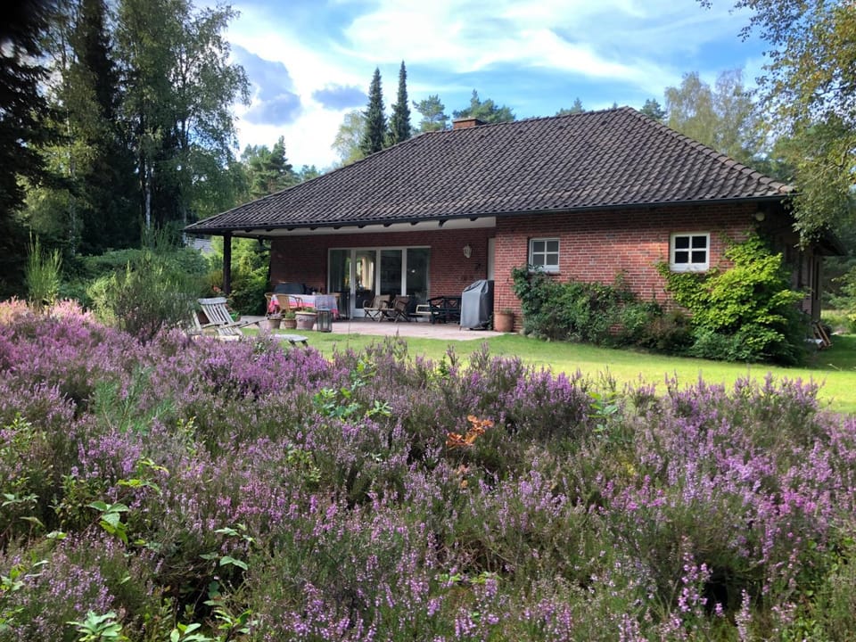 Property building, Garden