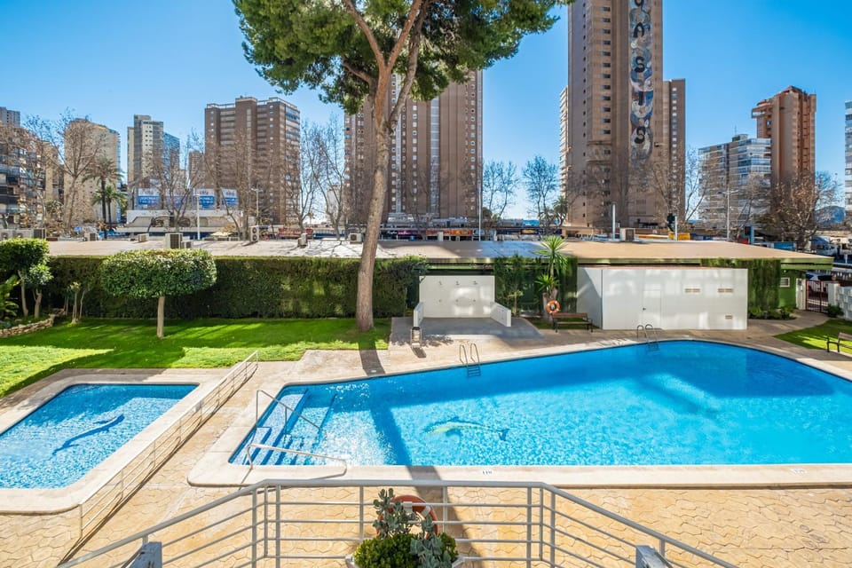 Day, Garden, City view, Pool view, Swimming pool