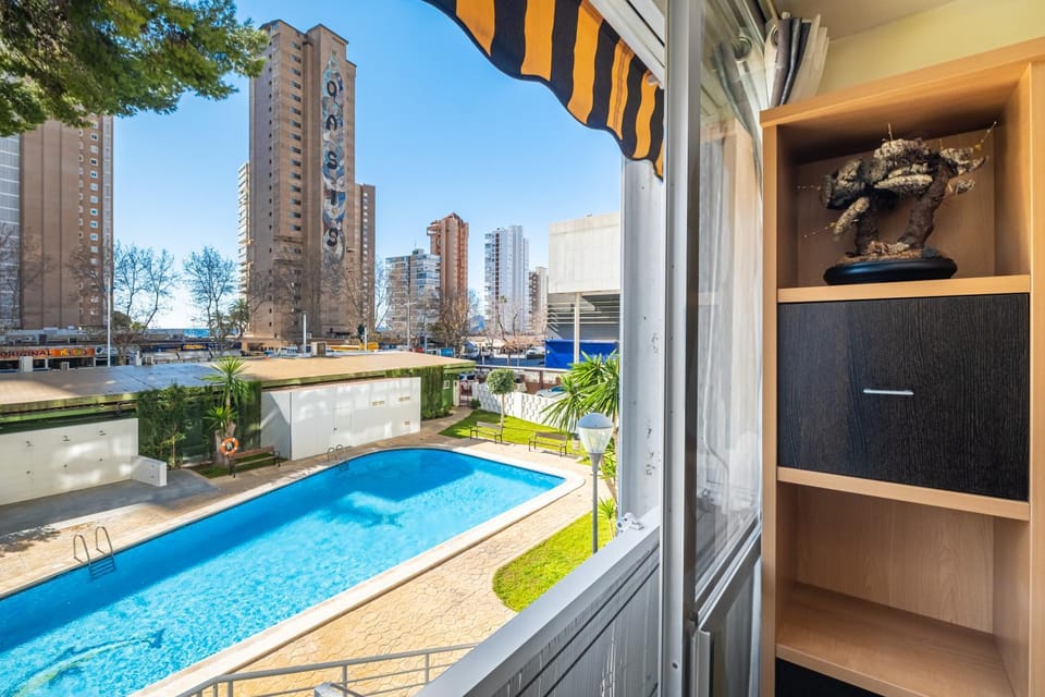 Day, Pool view, Swimming pool