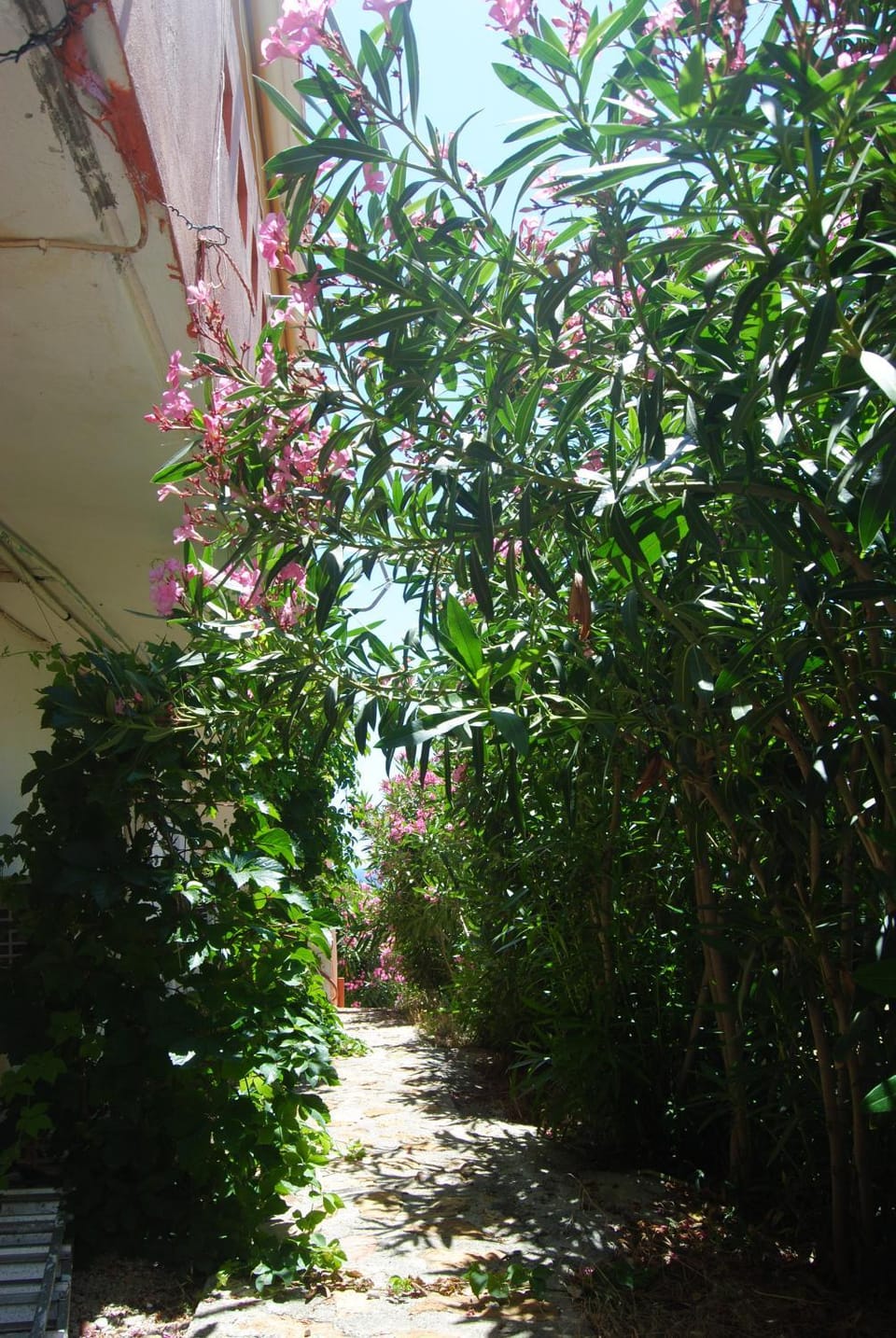 Property building, Garden