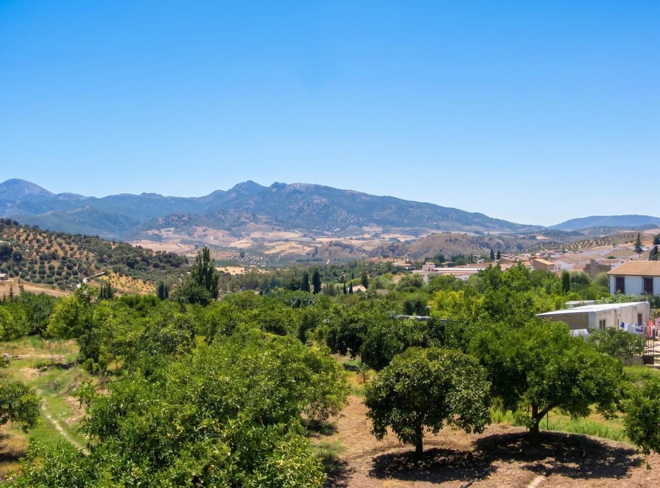 Mountain view