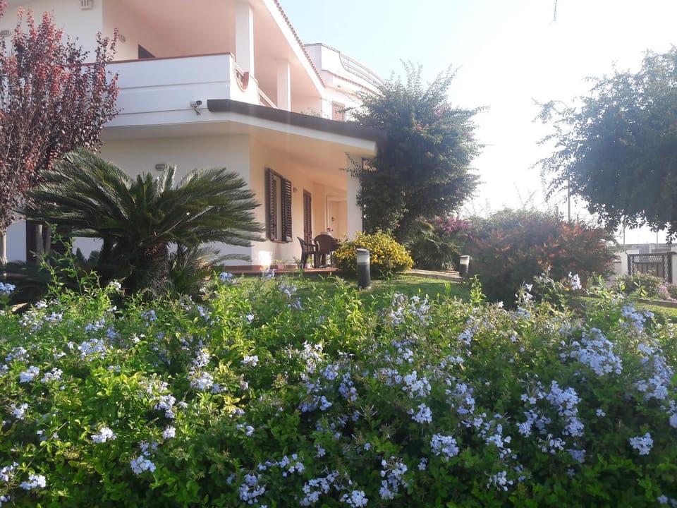 Property building, Garden view