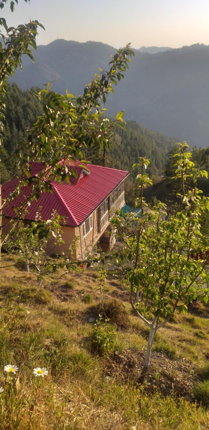 Shanti Jungle cottage Apartment in Himachal Pradesh