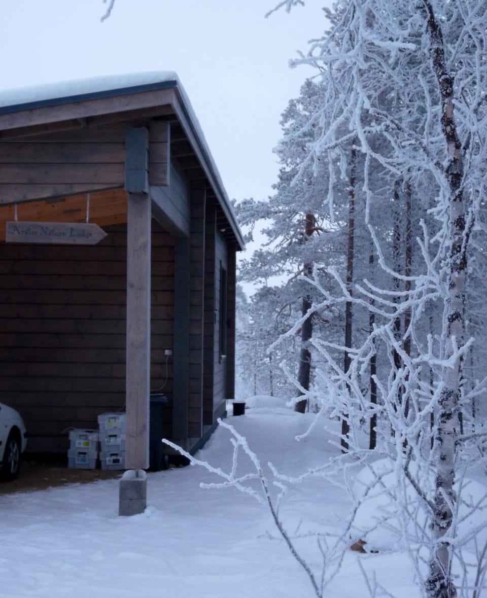 Arctic Nature Lodge Apartment in Lapland