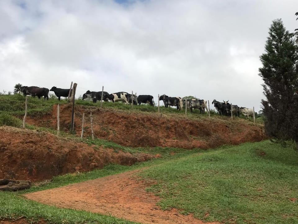 Rancho Luna D'oro - Ótimo lugar para descansar House in State of Rio de Janeiro