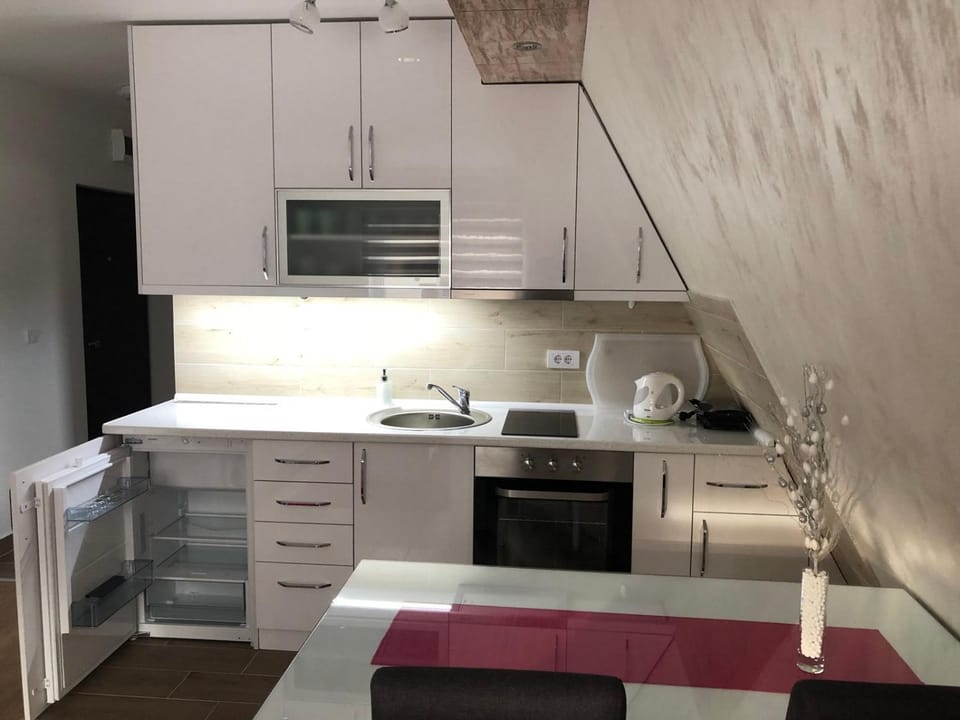 Top Kop Apartment in Serbia
