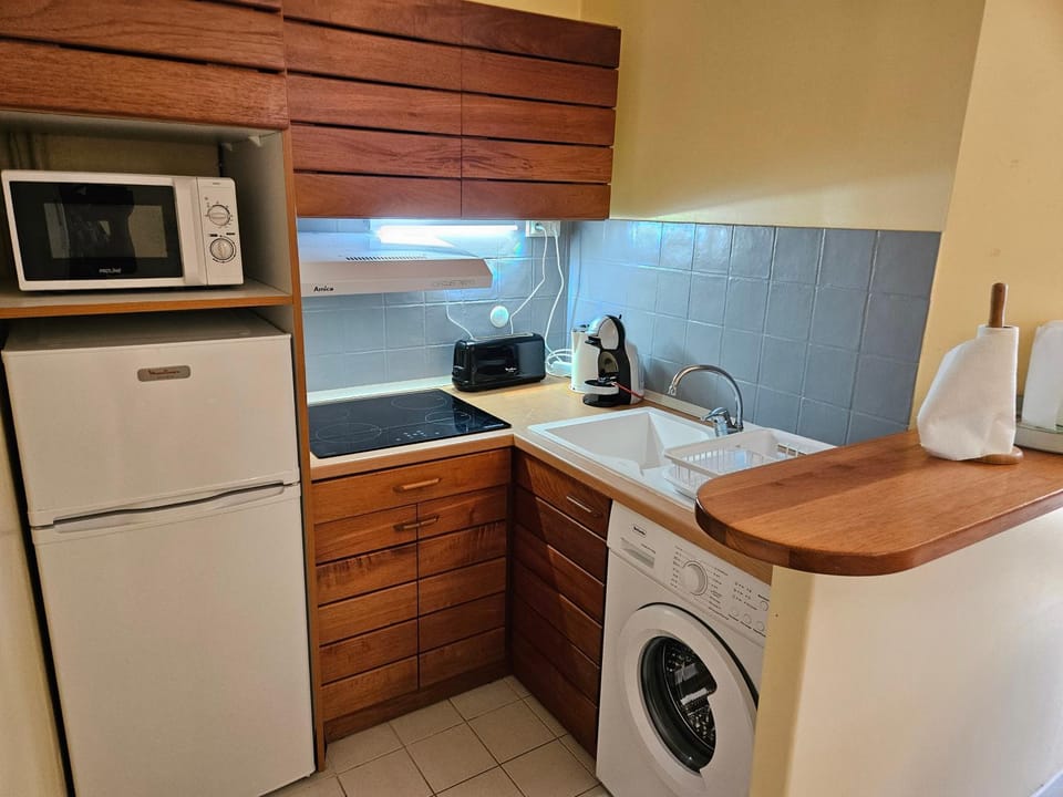 Kitchen or kitchenette, minibar, stove, toaster, washing machine