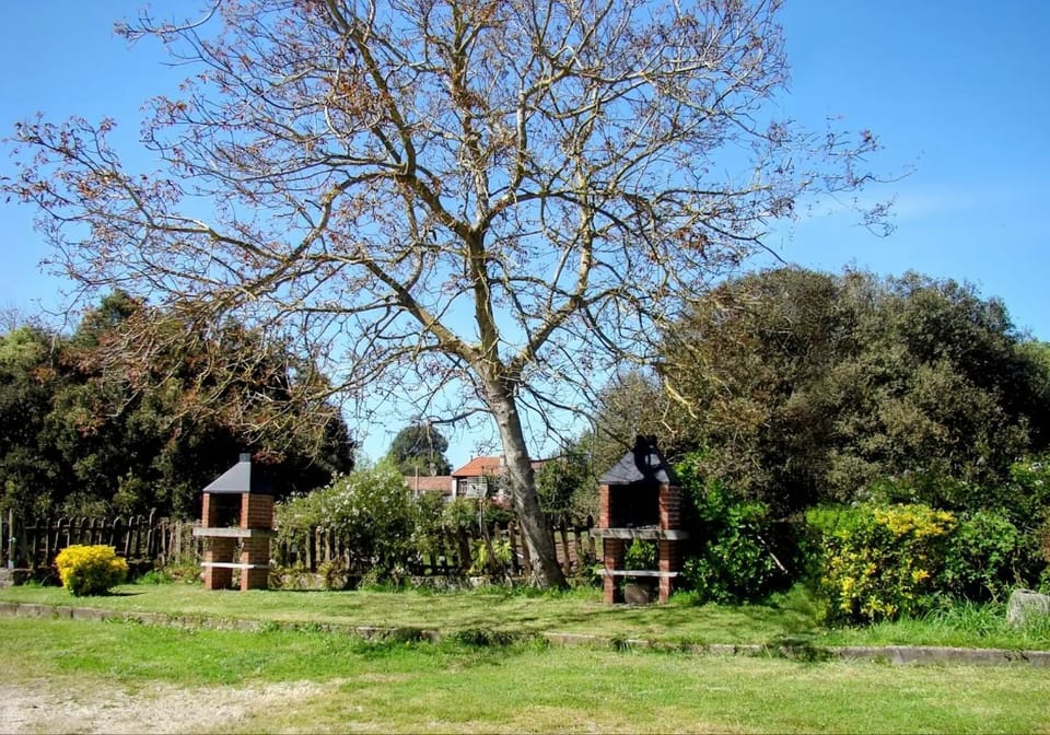 Natural landscape, BBQ facilities, Garden view