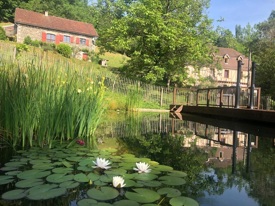 Gites La Chabanaise House in Occitanie