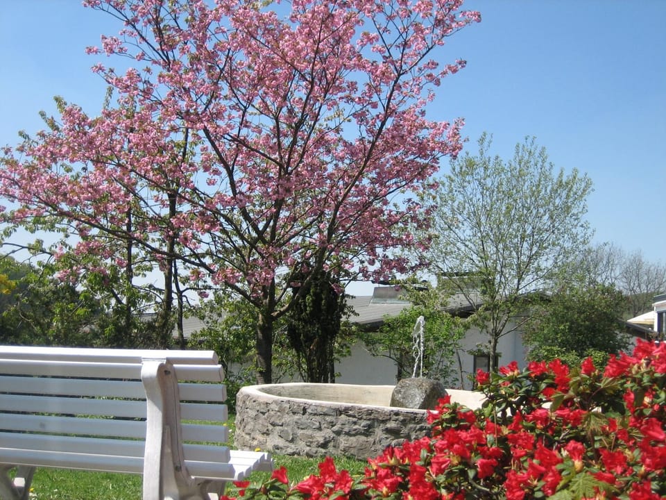 Garden, Balcony/Terrace