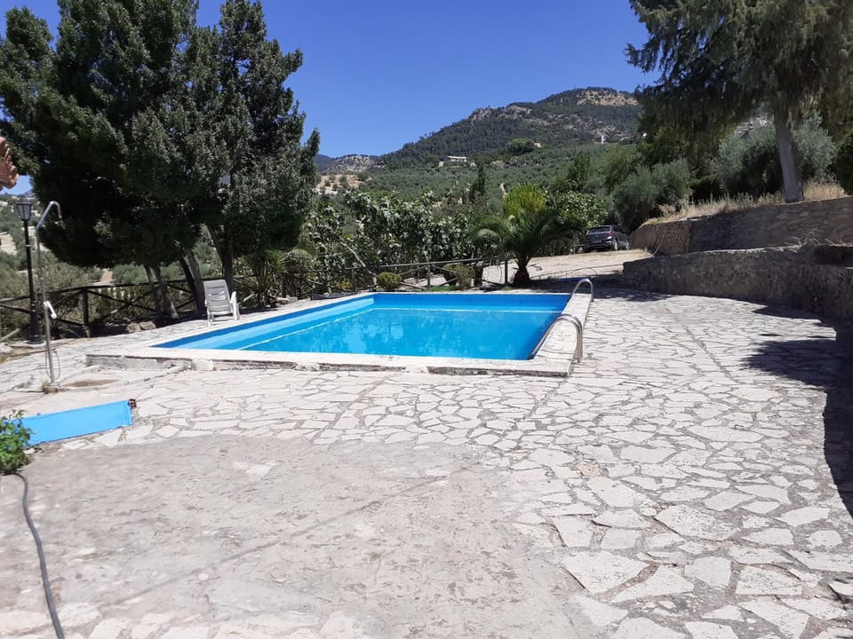 Swimming pool, Swimming pool