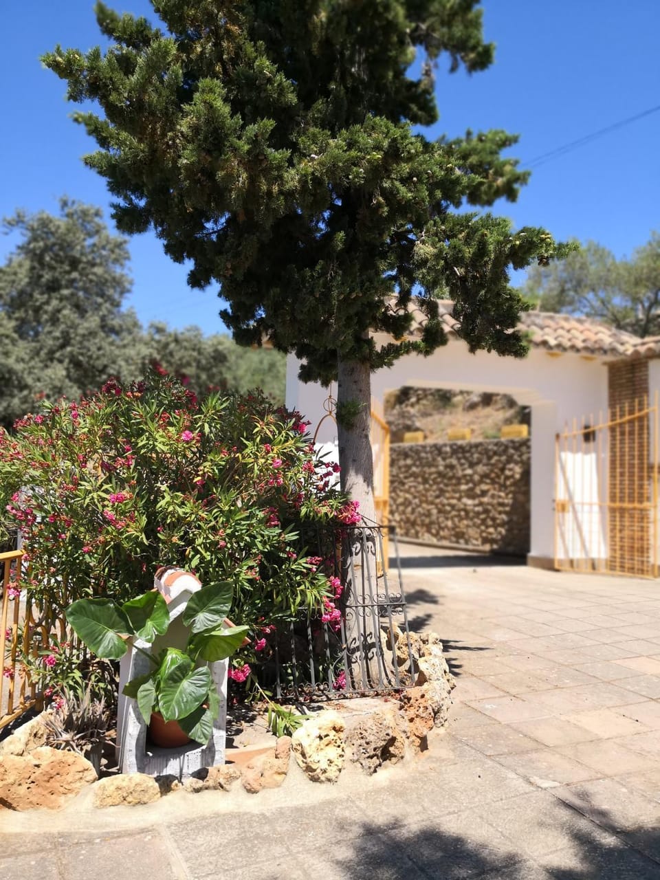 San Ignacio Rural House in Andalusia